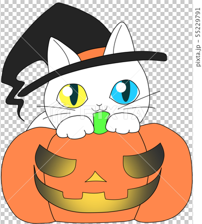 ハロウィン白猫ａ オッドアイ のイラスト素材