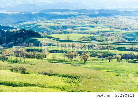 久住高原風景 55230211