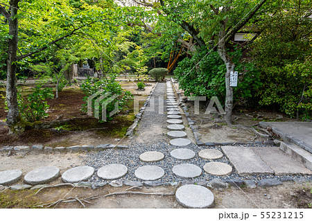 勧修寺の庭園飛び石 京都市 勧修寺の庭園飛び石 京都市 55231215