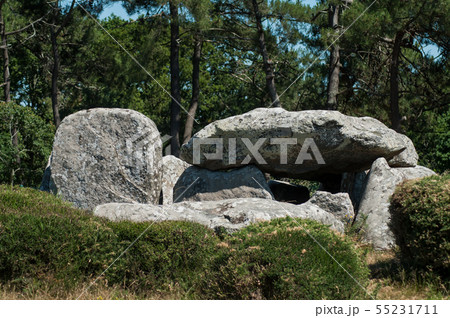 view of the famous dolmen megalith in Carnac -  55231711