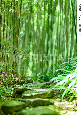京都市洛西竹林公園 京都市洛西竹林公園 55233685