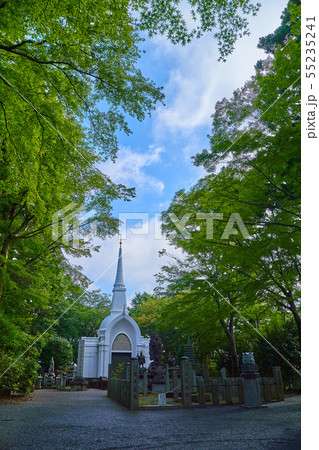 東京八王子市の新緑に包まれた高尾山 仏舎利塔 55235241