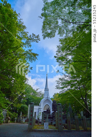 東京八王子市の新緑に包まれた高尾山 仏舎利塔 55235245