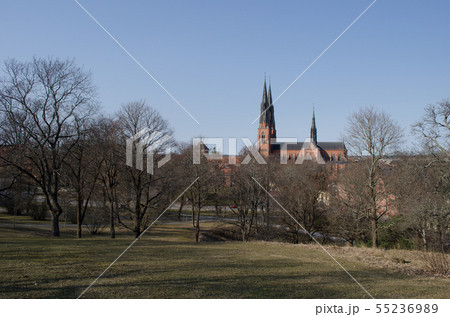 Uppsala domkyrka 55236989