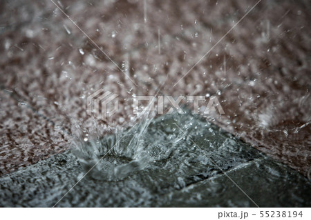 白 白色 ホワイト 55238194