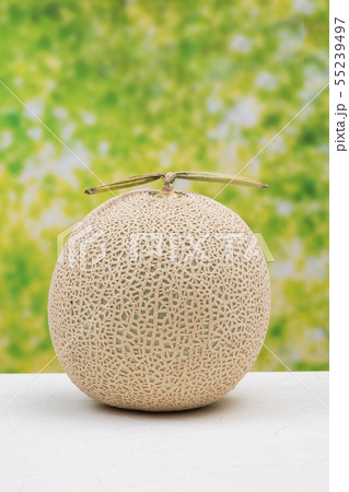 高級マスクメロン　Fresh high quality cantaloupe 55239497