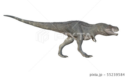 3d Render Of Tyrannosaurus Rex On A White のイラスト素材