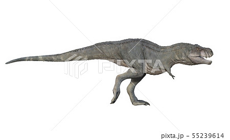 3d Render Of Tyrannosaurus Rex On A White のイラスト素材 3d Render Of Tyrannosaurus Rex On A White のイラスト素材