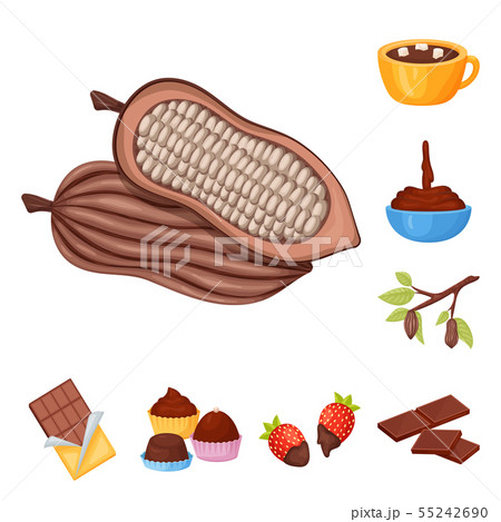 Isolated object of cocoa and beans sign. Collection of cocoa and sweetness stock vector illustration 55242690