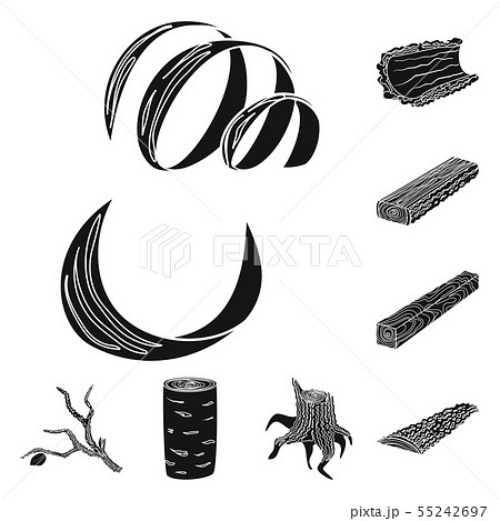Vector design of hardwood and construction logo. Collection of hardwood and wood stock vector 55242697