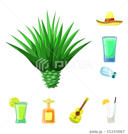 Vector illustration of Mexico and tequila icon. Set of Mexico and fiesta vector icon for stock. 55243067