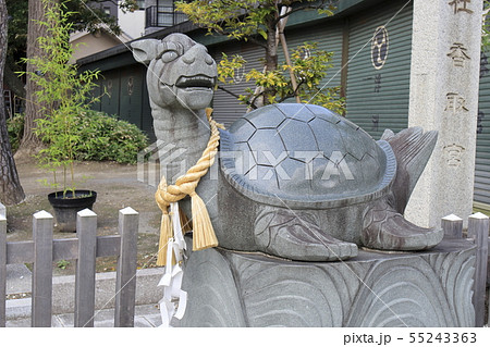 亀有香取神社 東京都葛飾区亀有 亀有香取神社 東京都葛飾区亀有 55243363