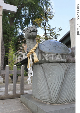 亀有香取神社 東京都葛飾区亀有 亀有香取神社 東京都葛飾区亀有 55243365