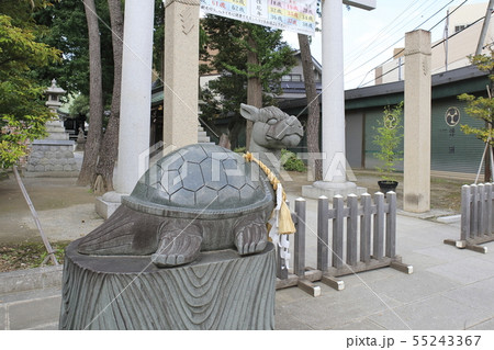 亀有香取神社　東京都葛飾区亀有 55243367