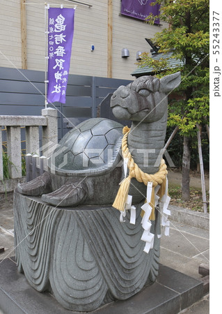 亀有香取神社 狛犬(狛亀) 東京都葛飾区亀有 亀有香取神社 狛犬(狛亀) 東京都葛飾区亀有 55243377