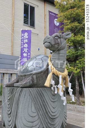 亀有香取神社　狛犬（狛亀）　東京都葛飾区亀有 55243378