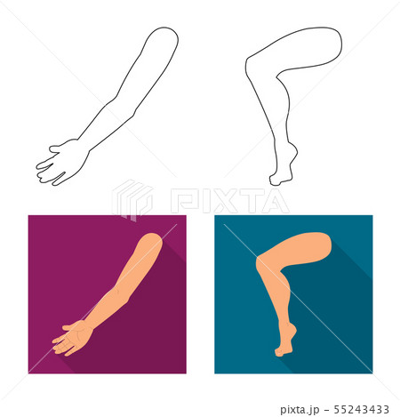 Vector illustration of body and part icon. Collection of body and anatomy stock vector illustration. 55243433