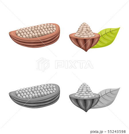 Vector design of food and yummy sign. Set of food and brown stock vector illustration. Vector design of food and yummy sign. Set of food and brown stock vector illustration. 55243598