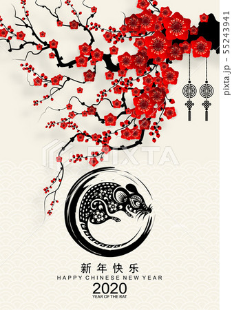 Chinese new year 2020. Chinese new year 2020. 55243941
