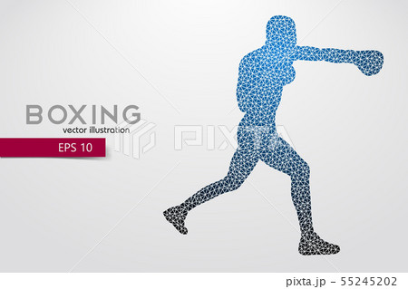 Boxing silhouette. Boxing. Vector illustration 55245202