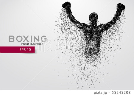 Boxing silhouette. Boxing. Vector illustration Boxing silhouette. Boxing. Vector illustration 55245208