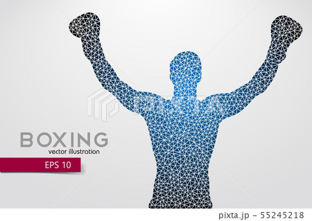 Boxing silhouette. Boxing. Vector illustration 55245218