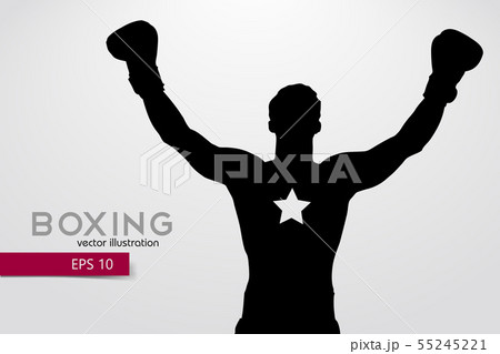 Boxing silhouette. Boxing. Vector illustration 55245221