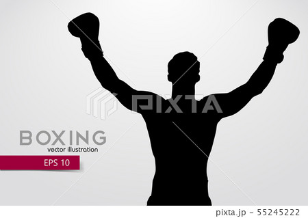 Boxing silhouette. Boxing. Vector illustration 55245222