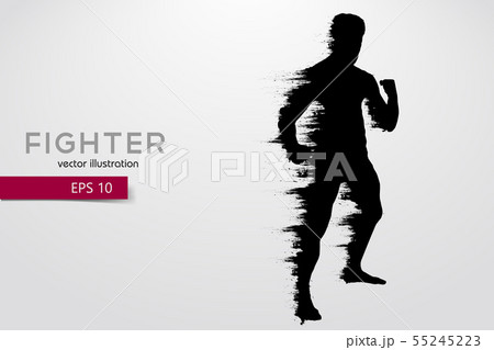 Boxing silhouette. Boxing. Vector illustration Boxing silhouette. Boxing. Vector illustration 55245223