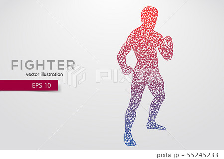Boxing silhouette. Boxing. Vector illustration 55245233