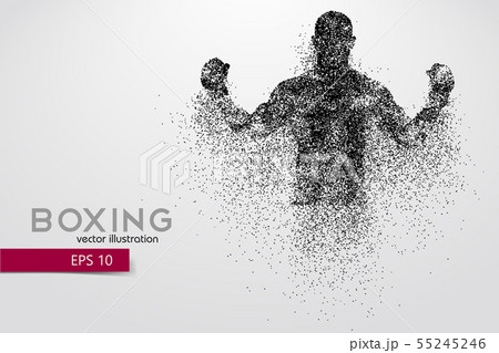 Boxing silhouette. Boxing. Vector illustration 55245246