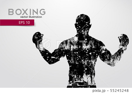 Boxing silhouette. Boxing. Vector illustration 55245248