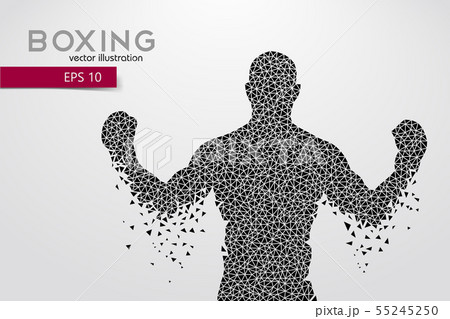 Boxing silhouette. Boxing. Vector illustration 55245250