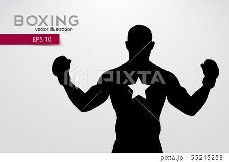 Boxing silhouette. Boxing. Vector illustration 55245253