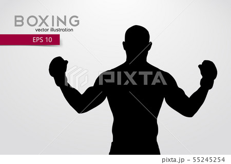 Boxing silhouette. Boxing. Vector illustration 55245254