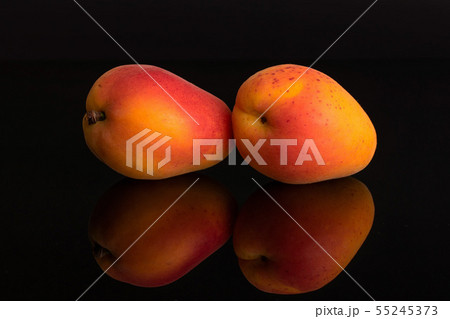 Fresh orange apricot isolated on black glass Fresh orange apricot isolated on black glass 55245373