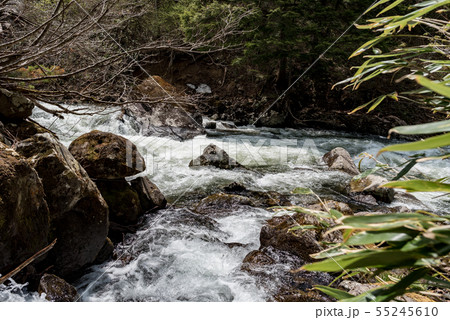 雪解けの渓流 雪解けの渓流 55245610