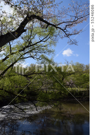平和公園点景 平和公園点景 55246086