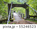 龍王峡　むささび橋 55246523