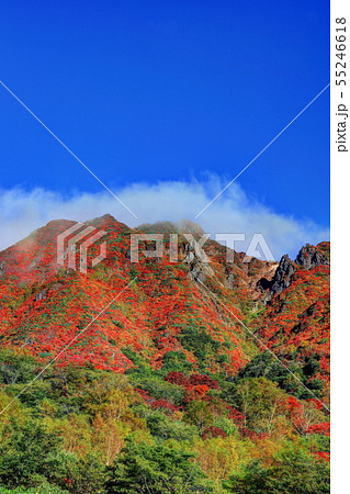 那須　朝日岳の紅葉 55246618