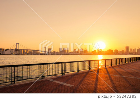 豊洲ぐるり公園の風景 （夕景） 55247285