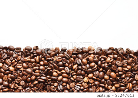 コーヒー豆 コーヒー豆 55247613