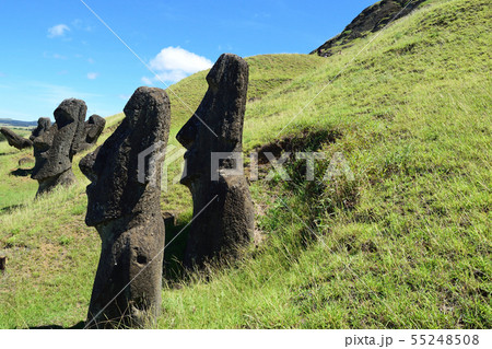 モアイの製造工場 ラノ・ララク山 モアイの製造工場 ラノ・ララク山 55248508
