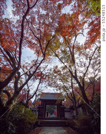延命寺の紅葉 延命寺の紅葉 55248515