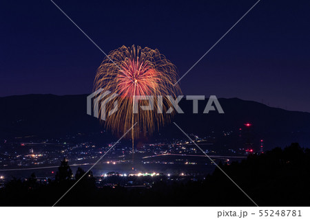 紀の川橋本 SUMMER BALL  55248781