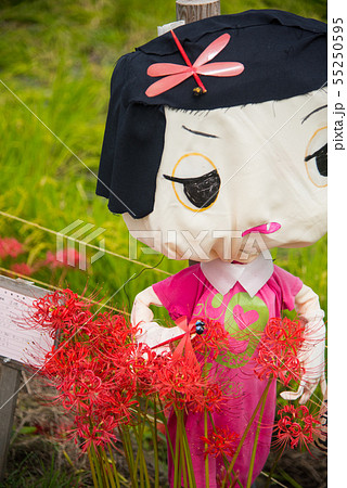 明日香村 彼岸花祭りの案山子 明日香村 彼岸花祭りの案山子 55250595