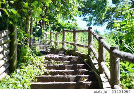 真鶴半島　夏の階段 55251064