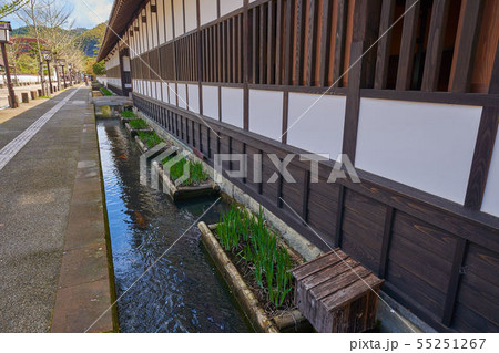 島根(山陰の小京都)の津和野 殿町通りの掘割（養老館付近） 55251267