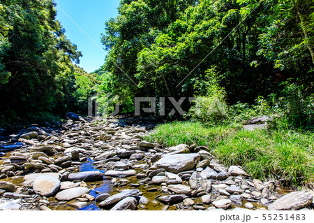 幸物河川公園　【長崎県西海市】 55251483