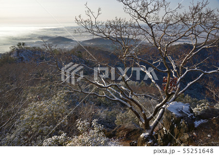 雪の積もった大小山南側ピークと早朝の朝霧立つ降雪後の関東平野 雪の積もった大小山南側ピークと早朝の朝霧立つ降雪後の関東平野 55251648